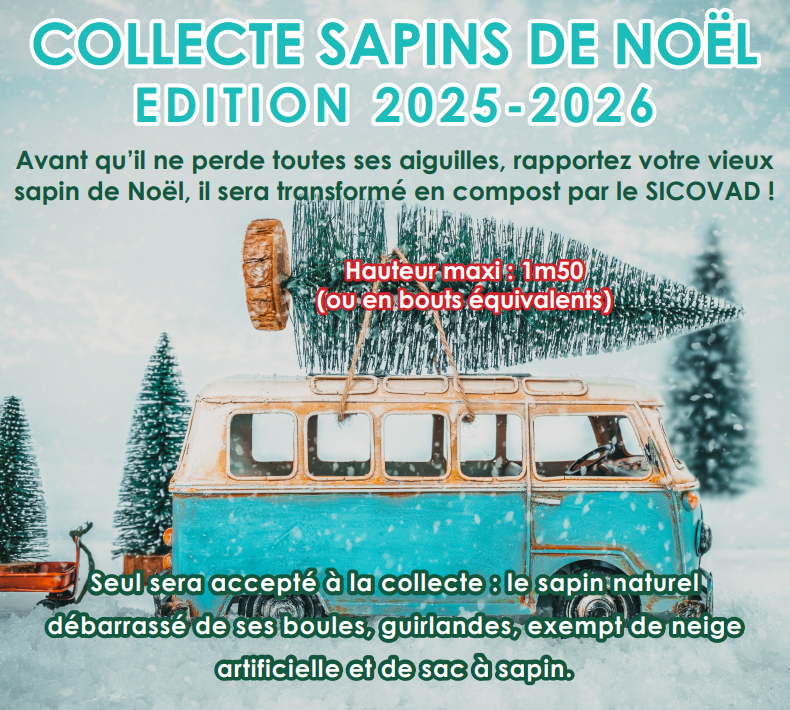 Collecte Sapins