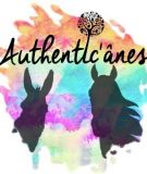 Authentic'Anes