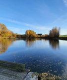 L'Etang Communal de Hadol